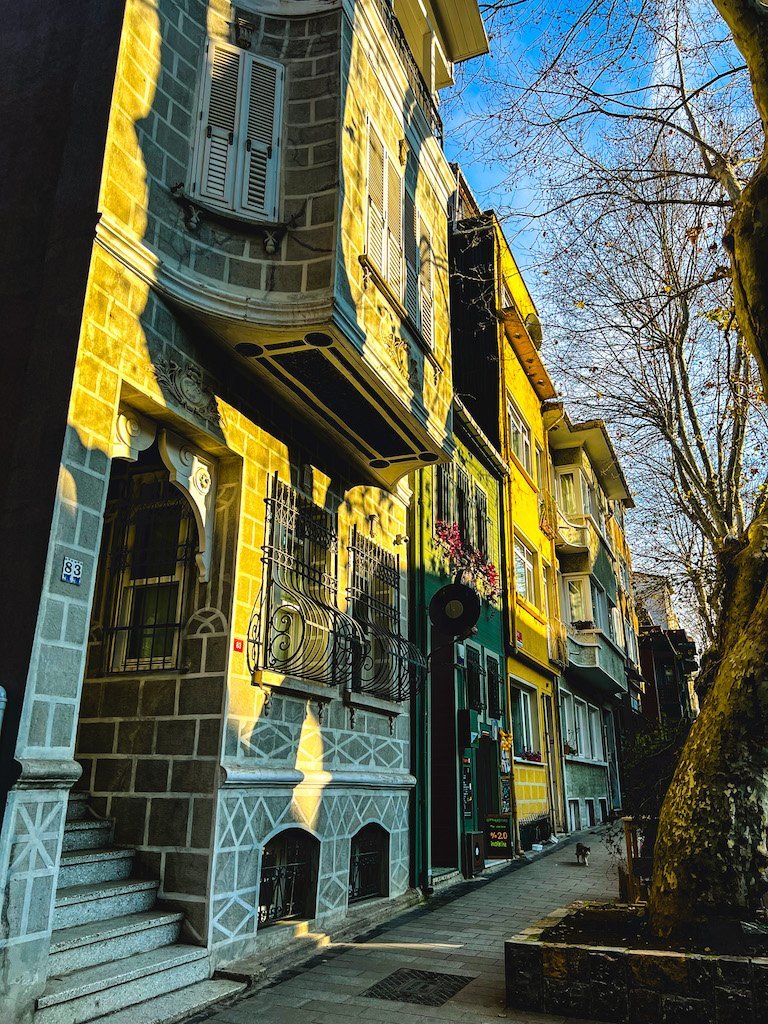 Къщи край главната улица в Кузунджук